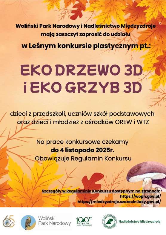 Leśny konkurs plastyczny „EKO GRZYB 3D, EKO DRZEWO 3D”